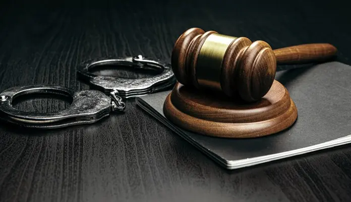 Bornova ceza avukatı